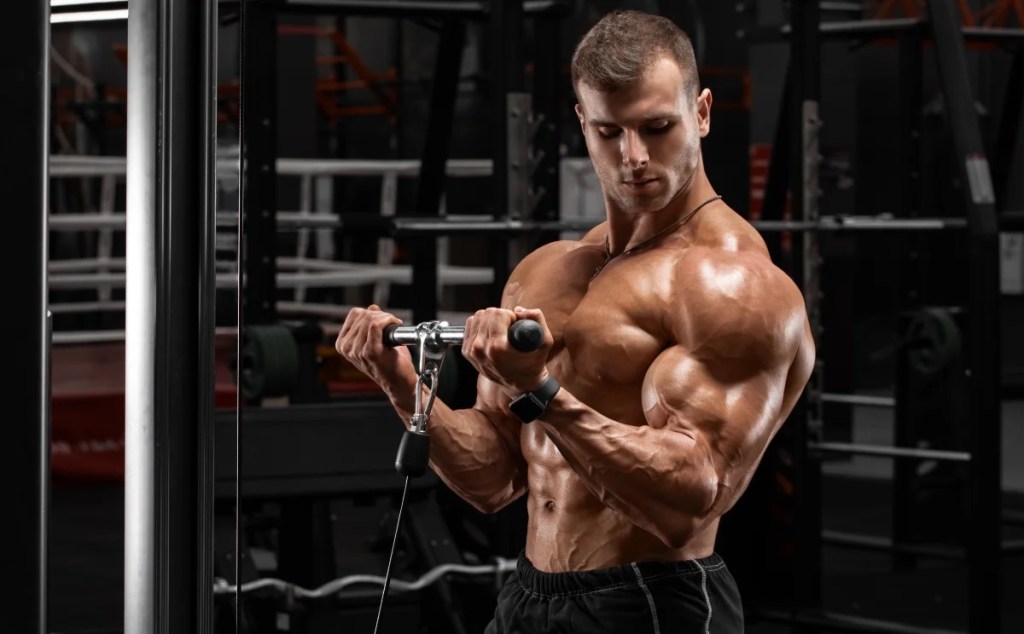 Why Exercise Enhances Mitochondria — and Helps You Shed Pounds